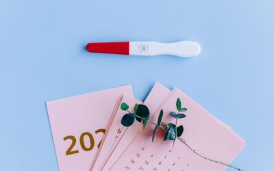 Safe Reproductive Healthcare: Legal Rights & Guidelines in South Africa